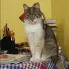 Отзыв от Алена Рыжова